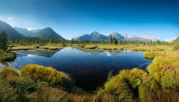 Wild Kaszinó 100 Dolláros Ingyenes Pörgetés Befizetés Nélkül ✻ Magyarországon   💳
