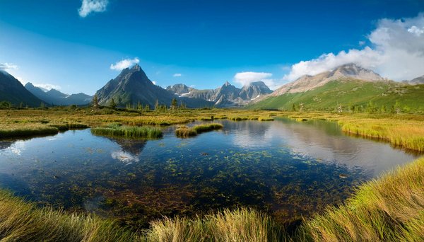 Our Clear Picking - Golden Nugget Cassino  Northern Mindanao   Play for Real