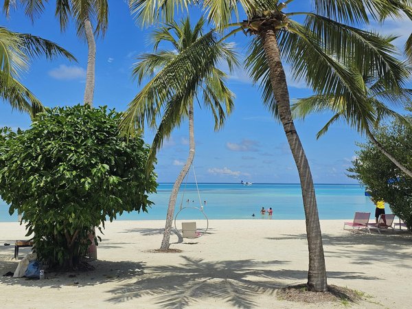 Cele Mai Interesante Bazate Pe Cloud Rețele De Cazinouri Pentru Novici – piața românească Play Now