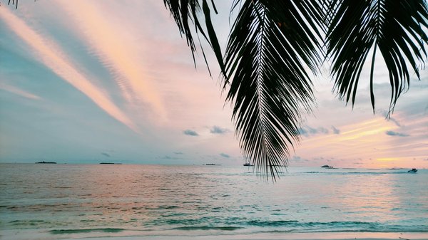 Hyödylliset Ratkaisut Oikeilta Asiantuntijoilta -- Finland